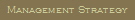 Management Strategy